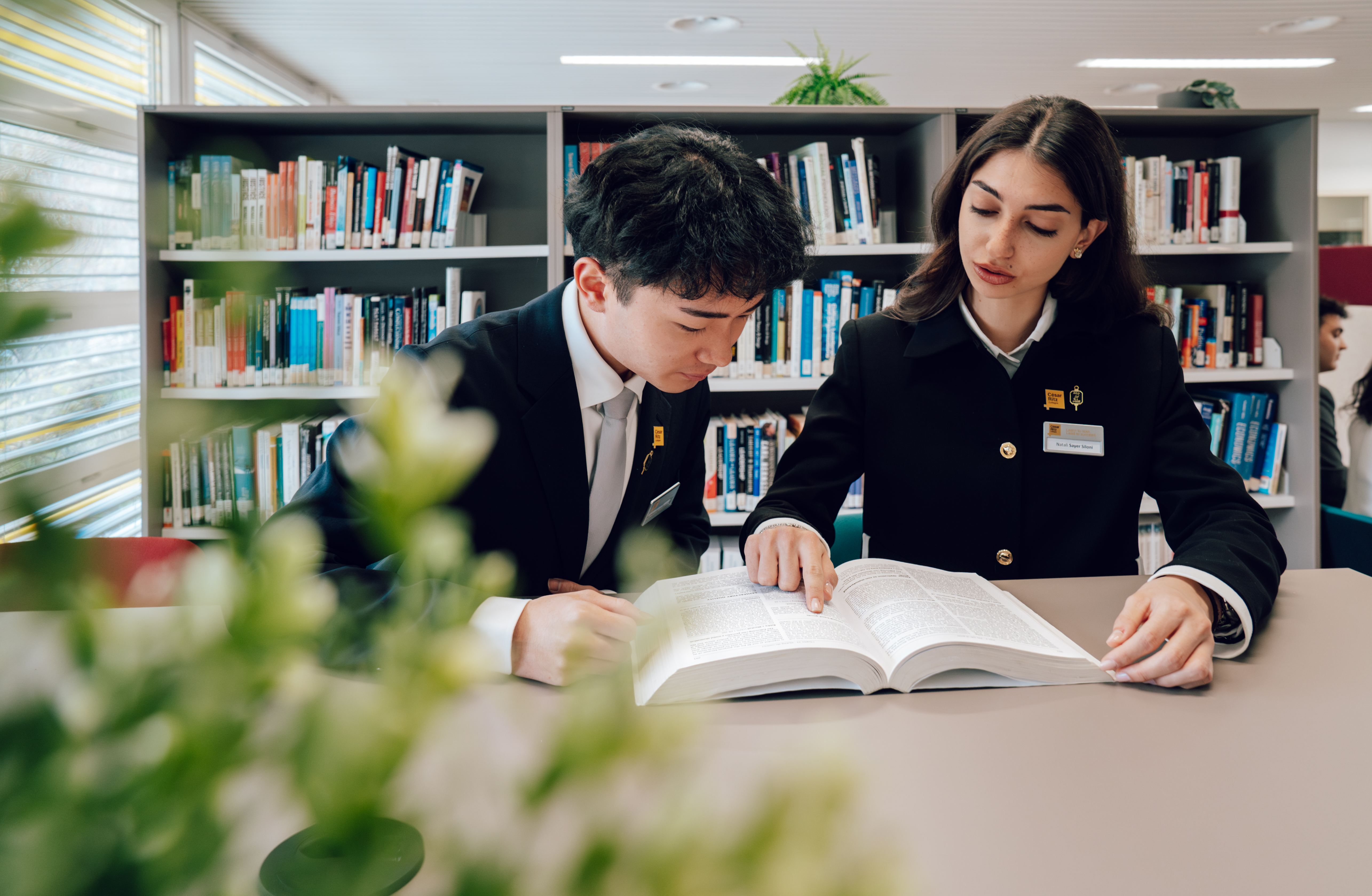 Ricerca | César Ritz Colleges Switzerland